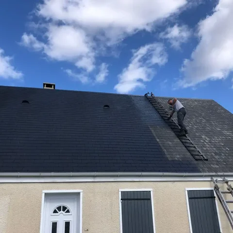 nettoyage toiture chanu 27 2