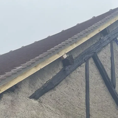 rives saillant bretagnolle maisonneuve 2