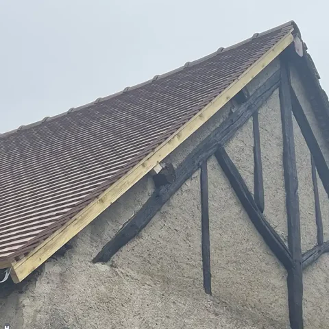 rives saillant bretagnolle maisonneuve